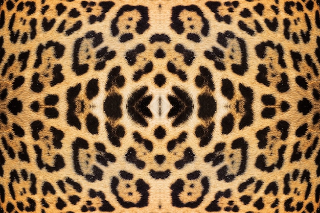 Texture della pelle di leopardo per lo sfondo