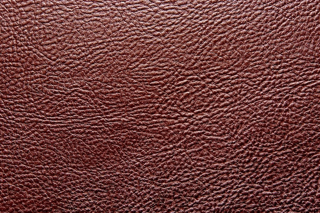 Texture della pelle marrone