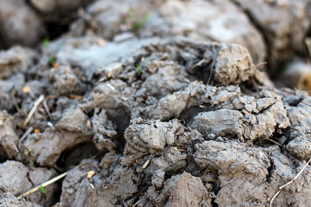 Texture della terra di detriti fangosi