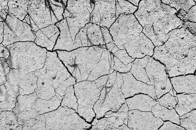 texture deserto siccità sfondo astratto terra cracking riscaldamento globale