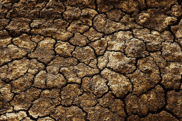 texture deserto siccità sfondo astratto terra cracking riscaldamento globale