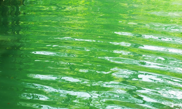 Texture di acqua di fiume verde