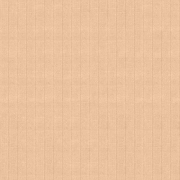 Texture di carta kraft senza soluzione di continuità Materiale beige granuloso ruvido Un foglio di cartone per l'imballaggio