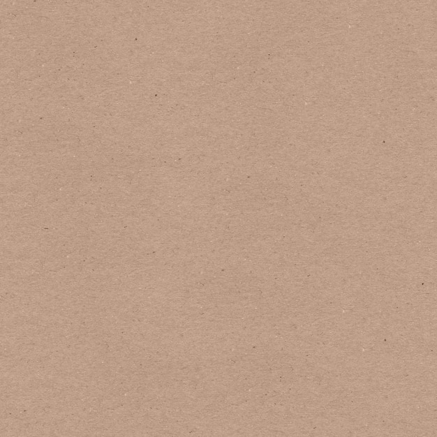 Texture di carta kraft senza soluzione di continuità Materiale beige granuloso ruvido Un foglio di cartone per l'imballaggio