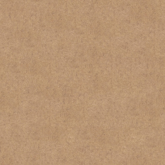 Texture di carta kraft senza soluzione di continuità Materiale beige granuloso ruvido Un foglio di cartone per l'imballaggio