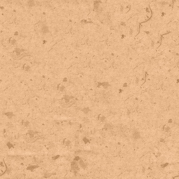 Texture di carta Kraft senza soluzione di continuità Materiale beige granuloso ruvido Un foglio di cartone per l'imballaggio