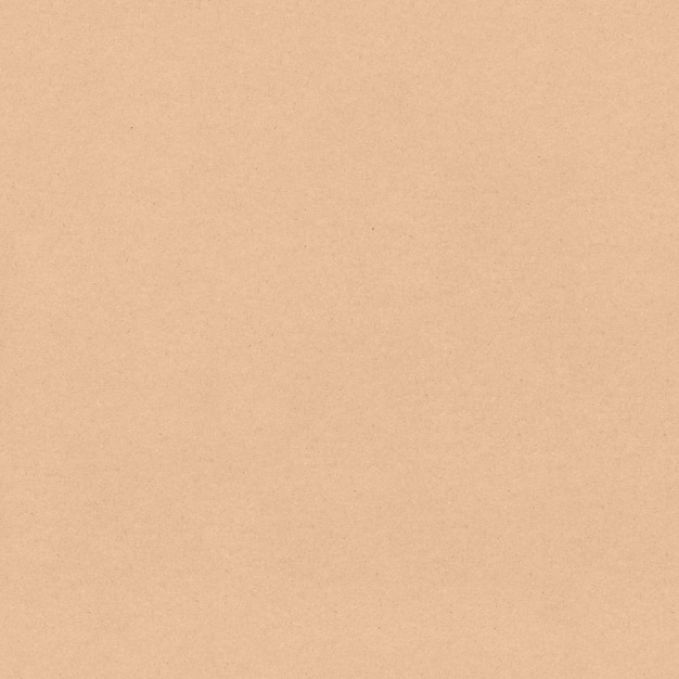 Texture di carta Kraft senza soluzione di continuità Materiale beige granuloso ruvido Un foglio di cartone per l'imballaggio