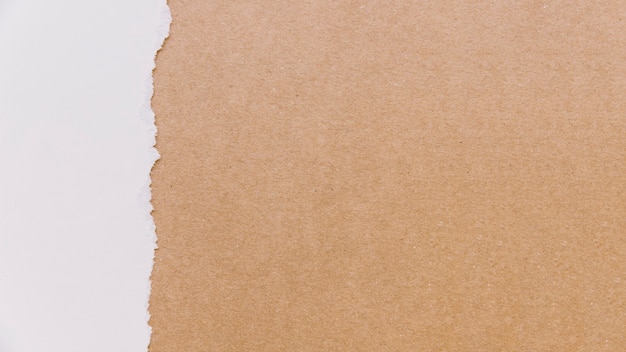 Texture di cartone e carta