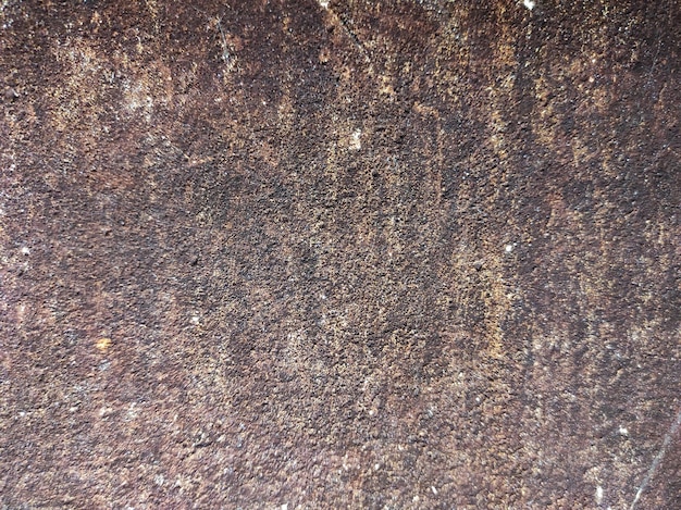 Texture di cemento grigio Sfondio e bianco