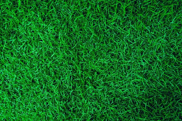 Texture di erba verde naturale con goccioline d'acqua Sfondo di campo da golf o calcio perfetto Vista dall'alto