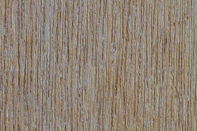 Texture di legno di corteccia