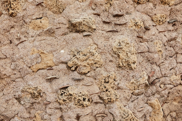 Texture di pietra naturale e sfondo di superficie in alta risoluzione.