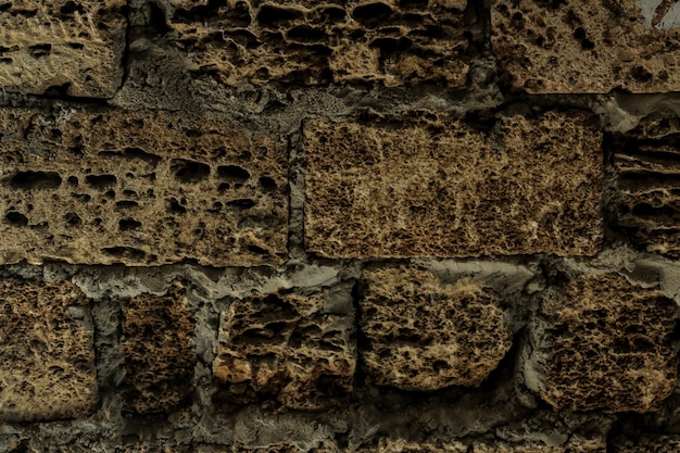 Texture di pietra naturale. sfondo di pietra shellstone. muro di pietra con cemento