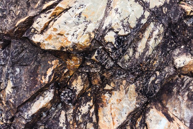 Texture di pietra o roccia con fessure e vene