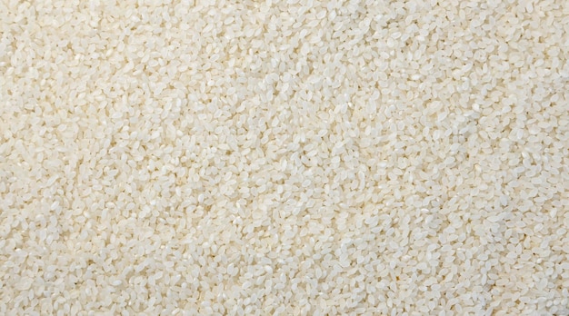 Texture di riso bianco crudo Sfondo di riso Chicchi corti di riso bianco tondo