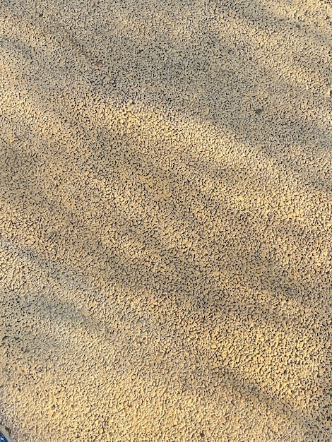 Texture di sabbia da una spiaggia in california