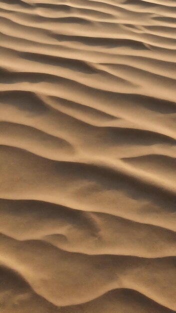 Texture di sabbia della spiaggia sotto il sole estivo