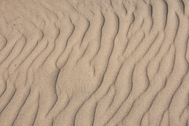 Texture di sabbia fine dalla costa meridionale della Sicilia in Italia