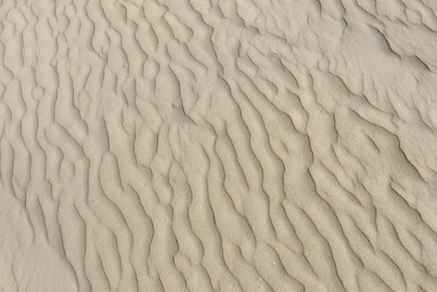 texture di sabbia sullo sfondo del deserto