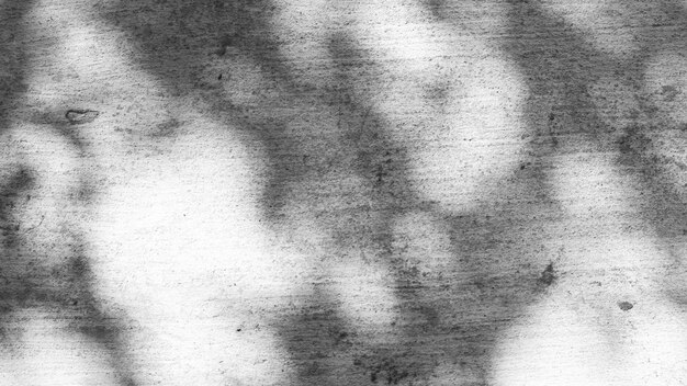 Texture di sfondo astratto bianco e nero di foglie di ombre su un muro di cemento