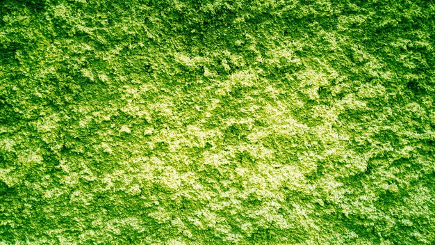 texture di sfondo del muro di cemento