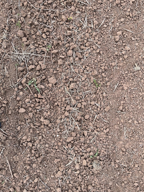 Texture di sfondo del terreno naturale della vista dall'alto della superficie del suolo fertile