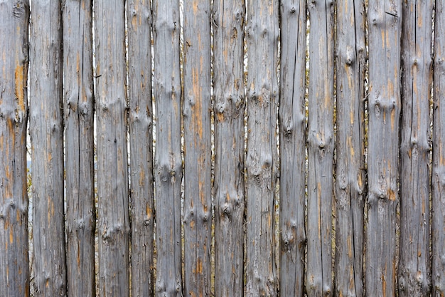 Texture di sfondo del vecchio recinto di legno grigio da tronchi interi con nodi. Recinzione squallida. Materiale naturale.