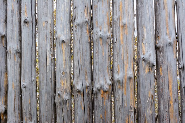 Texture di sfondo del vecchio recinto di legno grigio da tronchi interi con nodi. Recinzione squallida. Materiale naturale.