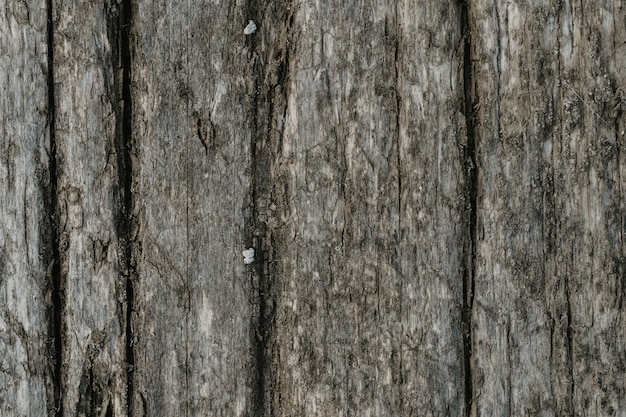 Texture di tavola di legno naturale