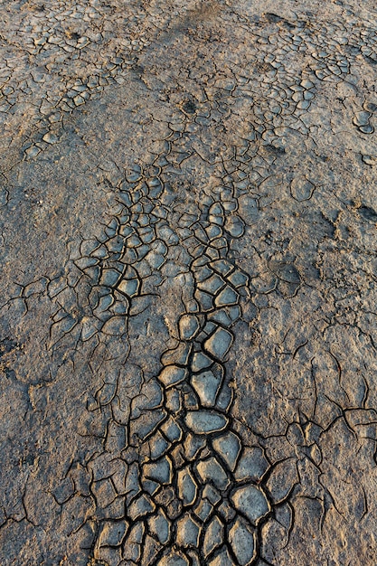 Texture di terra secca incrinata all'alba