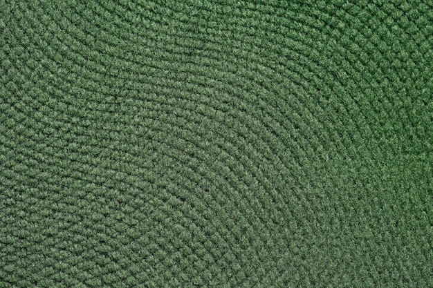 Texture di tessuto verde saturo per il tuo design