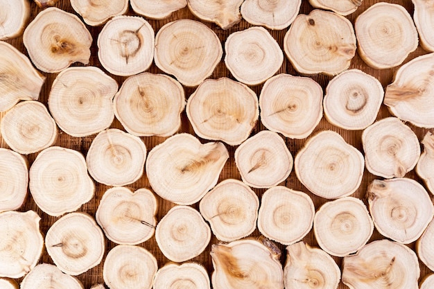 Texture di tronchi di legno di sezione trasversale. Modello di sfondo di ceppo di albero di ginepro. Sezione trasversale della fetta di legno di ginepro dei cerchi con gli anelli degli alberi che mostrano la storia organica dell'età.