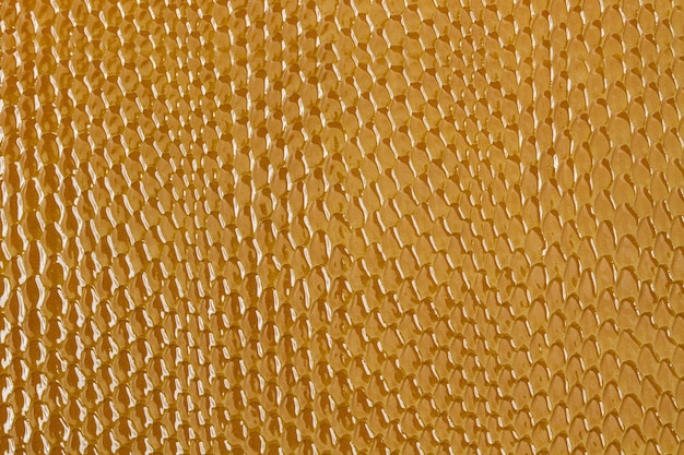 Texture di un panno a forma di rettile in pelle marrone