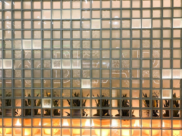 Texture di un quadrato quadrato trasparente incandescente in vetro scolpito di piccole piastrelle decorative con motivi diversi e retroilluminazione gialla con piante verdi sullo sfondo