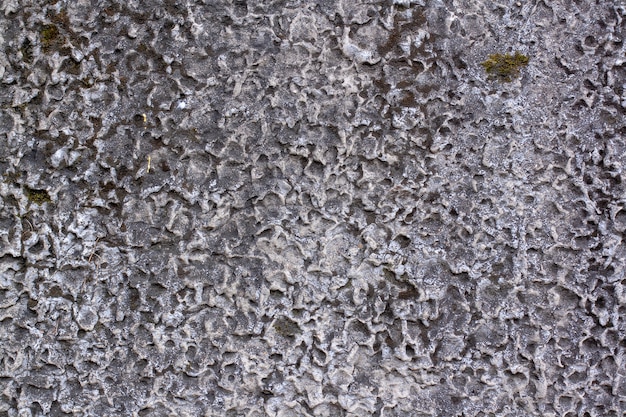 Texture di un vecchio muro di cemento con fori, cavità con muschio verde. La superficie porosa è grigia.