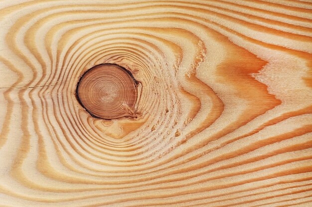 Texture di una tavola di legno, sfondo