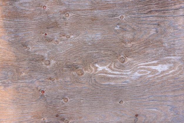 Texture di uso del legno di corteccia come sfondo naturale