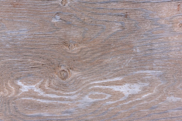 Texture di uso del legno di corteccia come sfondo naturale