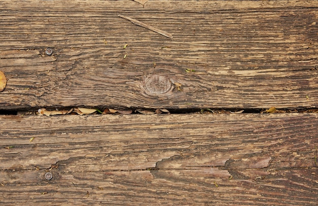 Texture di vecchie tavole di legno con sfondo di foglie cadute.