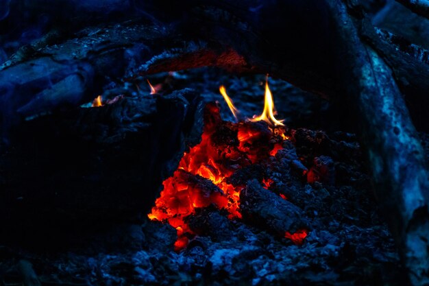 Texture fiamma da tronchi in fiamme di notte