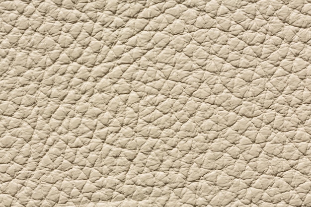 Texture in pelle beige chiaro con superficie in rilievo