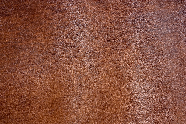 Texture in vera pelle