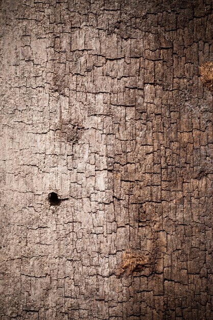 Texture legno vecchio sfondo.