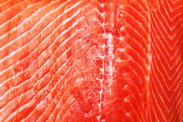 Texture pesce salmone