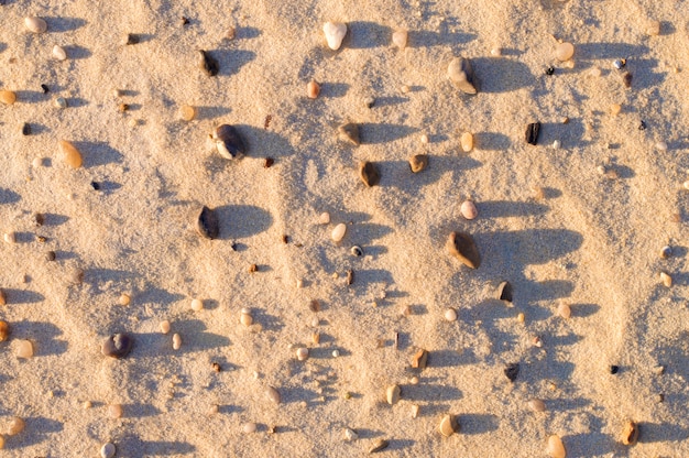 Texture piccole pietre non sabbia