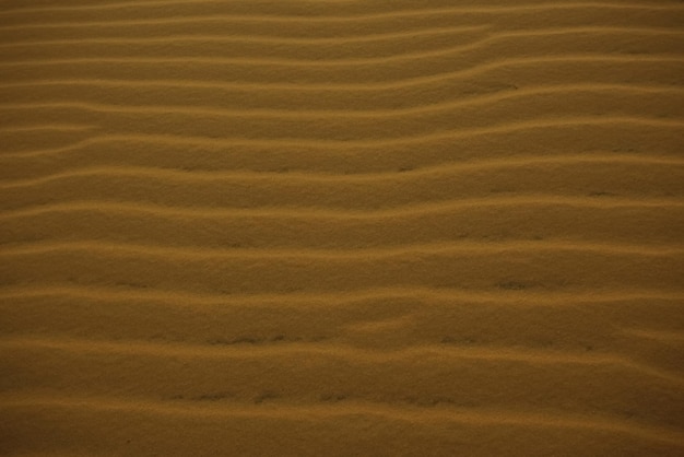Texture sabbia nel deserto