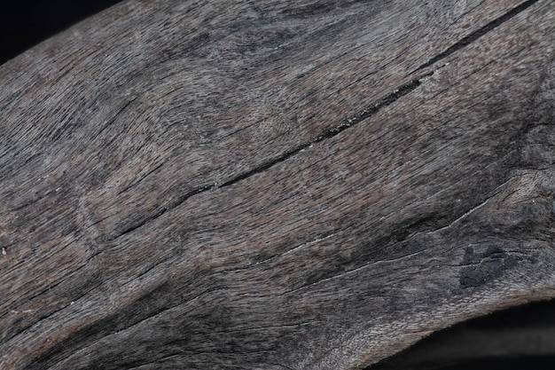 texture superficiale da vicino di un blocco secco di legno galleggiante