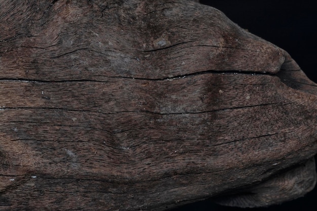 texture superficiale da vicino di un blocco secco di legno galleggiante
