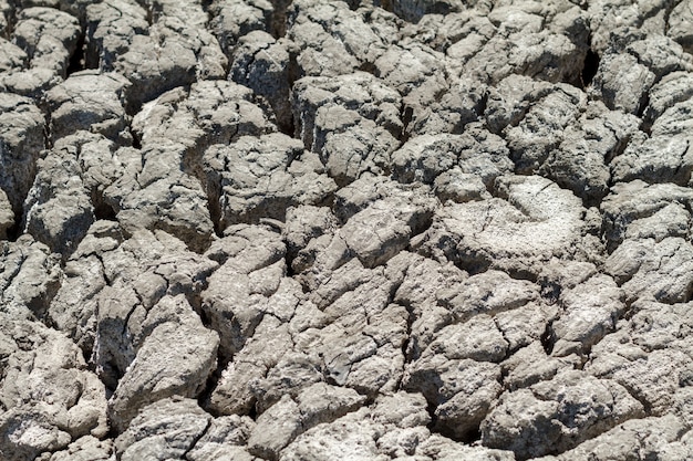 Texture terra incrinata nella stagione secca.