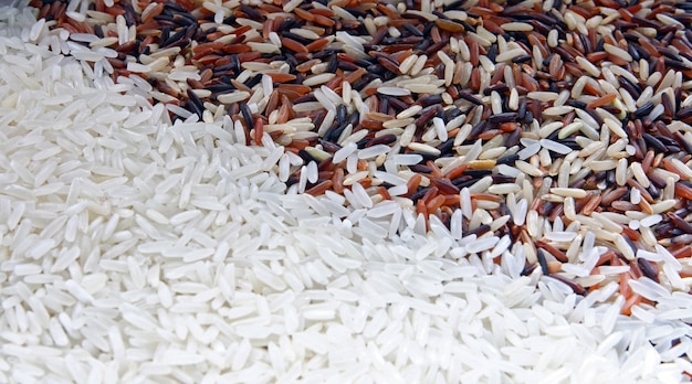 Thai Red Jasmine e Fragment magenta Organic rice in alto a destra con riso White Jasmine